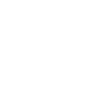 Salah Icon
